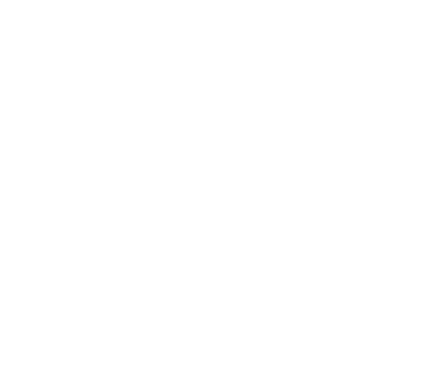 LOGO CENTRO SPORTIVO PONTE NUOVO